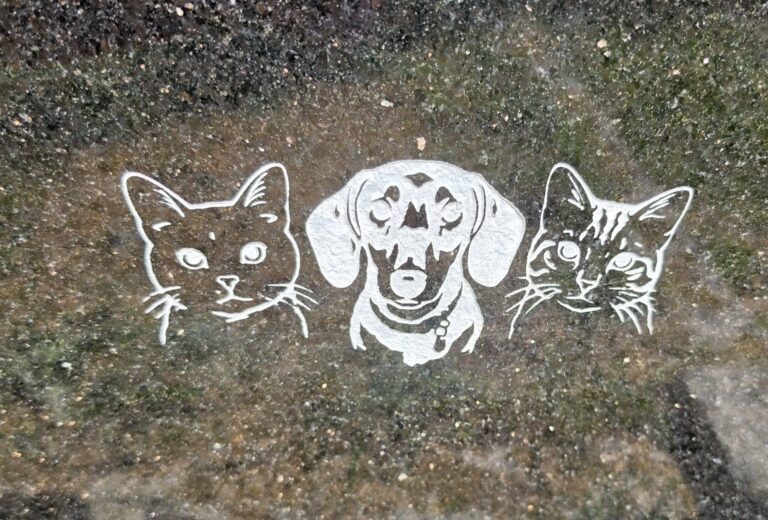 Black granite pet memorial with etched cat and dog portraits